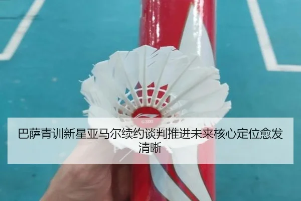ba-sa-qing-xun-xin-xing-ya-ma-er-xu-yue-tan-pan-tui-jin-wei-lai-he-xin-ding-wei-yu-fa-qing-xi-3-250.jpg