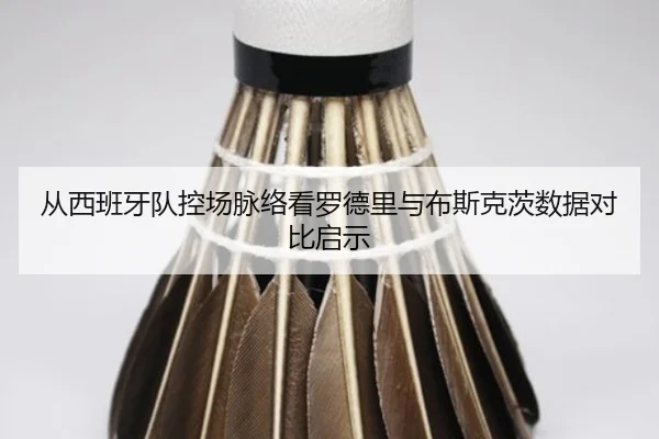 从西班牙队控场脉络看罗德里与布斯克茨数据对比启示
